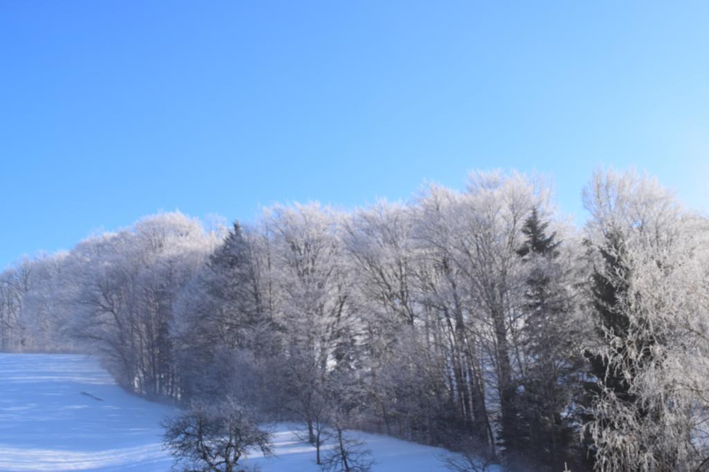 Pension Irlingerhof Mondsee Εξωτερικό φωτογραφία